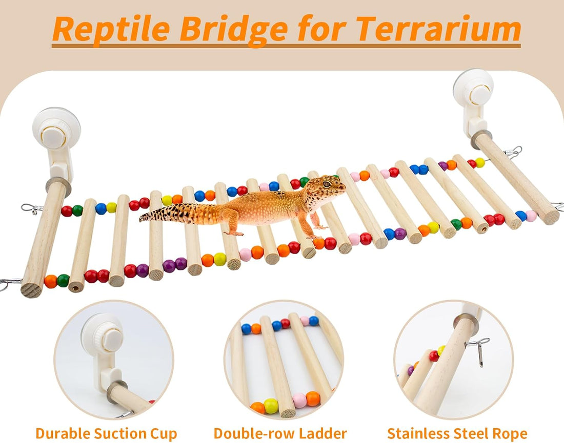 FlidRunest Bearded Dragon Window Ladder with 2 Sturdy Suction Cups