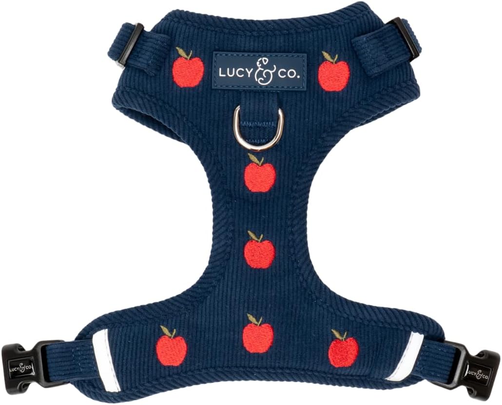 Lucy & Co. Appley Ever After Corduroy No-Pull Dog Harness, XL