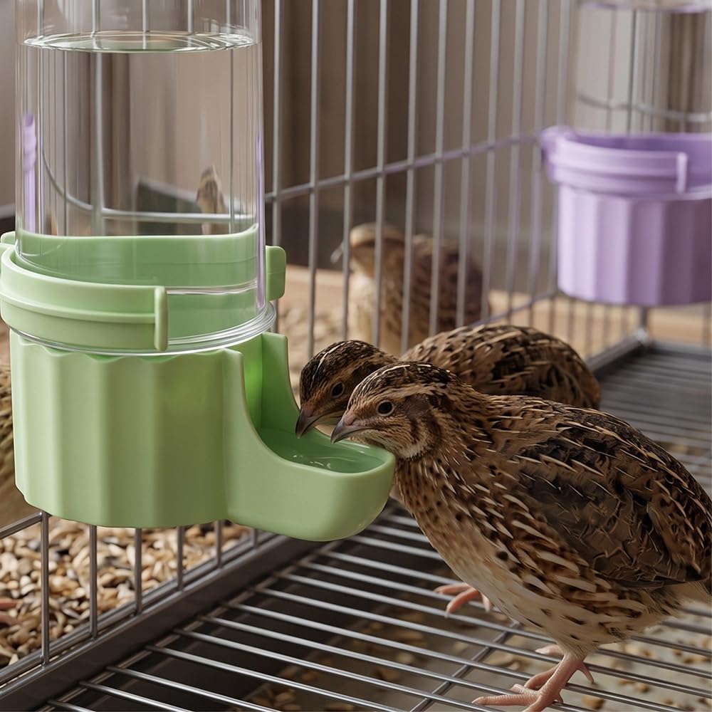 2 Pack Quail Hanging Gravity Waterer Automatic Cage Drinking Dispenser