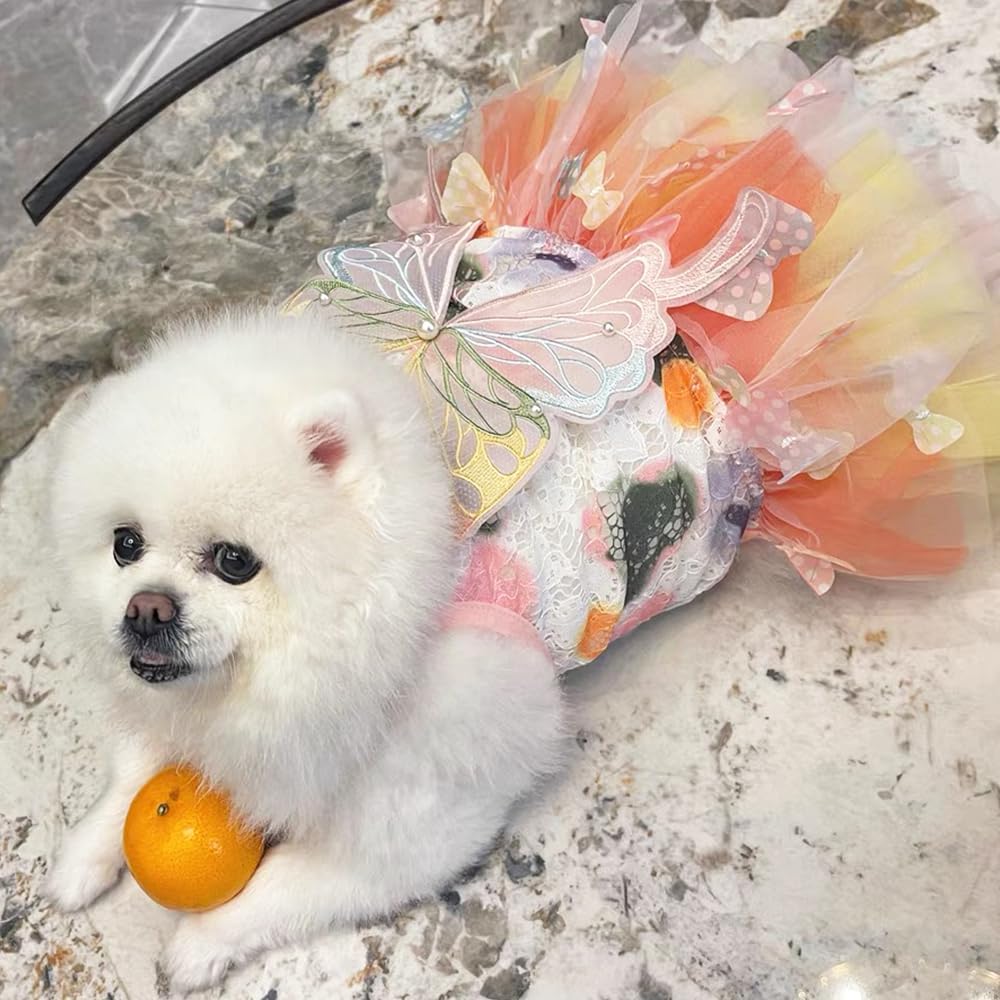 Rainbow Butterfly Dog Dresses for Small Dog Girl Puppy Lace Tutu