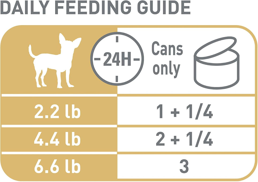 Royal Canin Breed Health Nutrition Chihuahua Adult Loaf in Sauce Dog