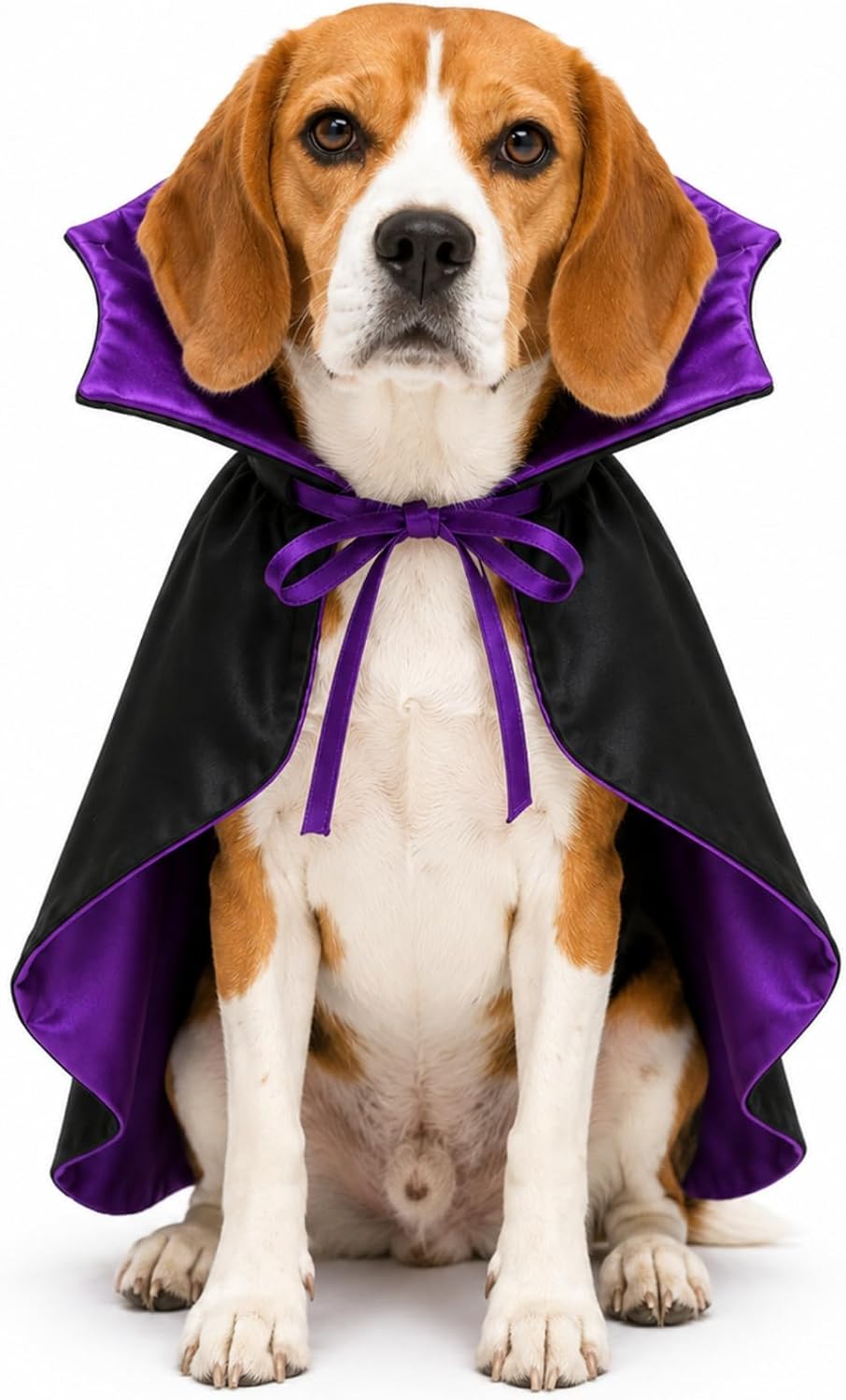 Small Dog Costume for Halloween, Vampire Cloak Dog Halloween Costume