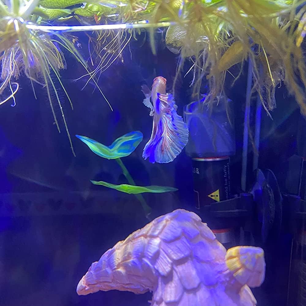 3 Pack Betta Fish Hammock Plant Leaf Pad Fish Spawning Grounds