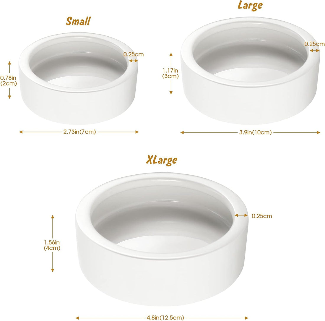 Reptile Food Dish Bowl 2Pcs Lizard Gecko Worm Water Bowls Small