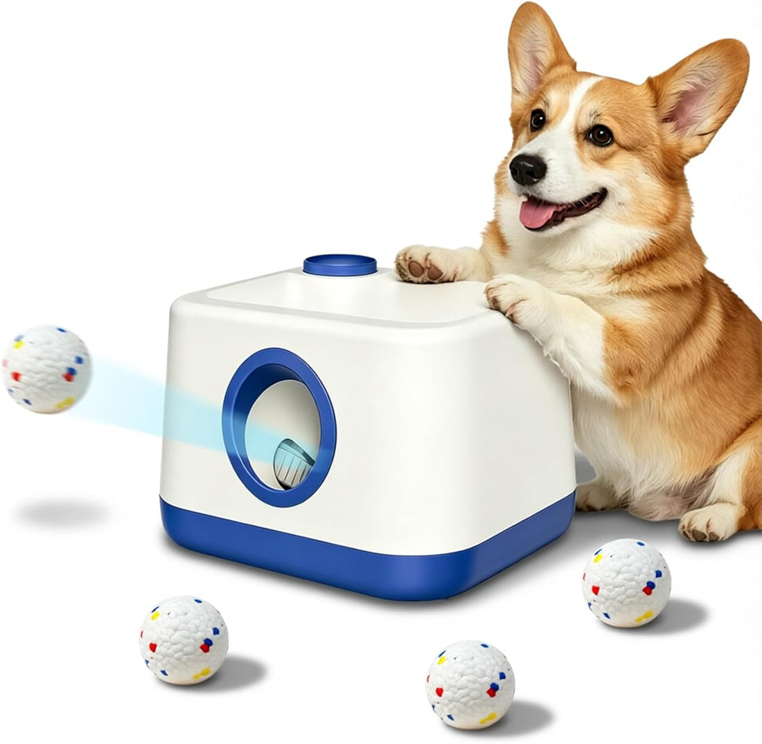 Ball Launcher for Dogs Indoor Automatic Small Dog Fetch Machine 3