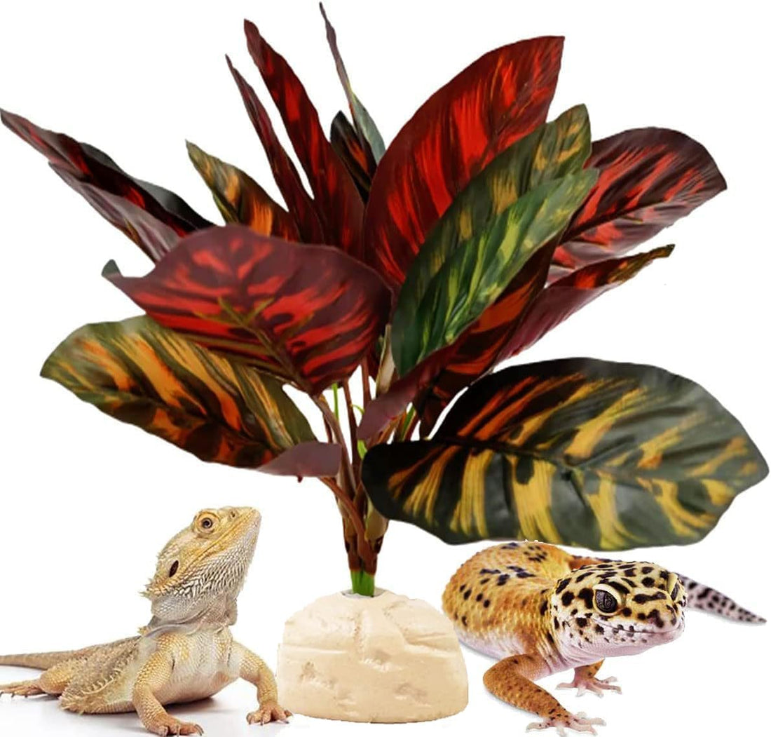 Reptile Plants for Terrarium Decor,Leopard Gecko Tank Plants