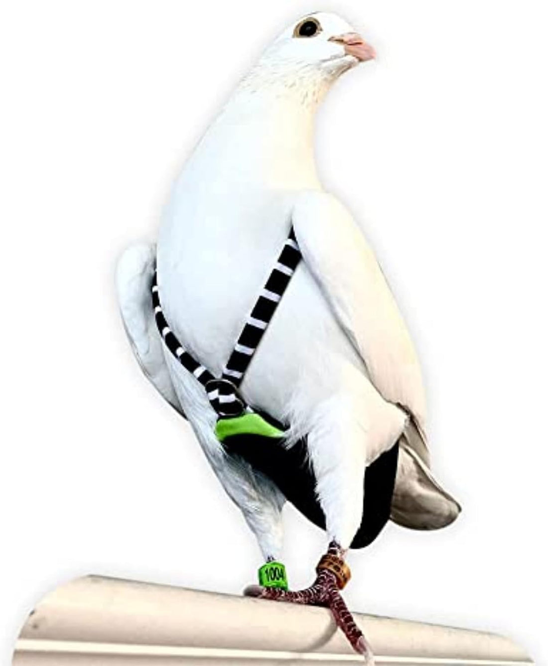 FLYPER Adjustable Mini Bird Diaper | Reusable, Washable Cloth