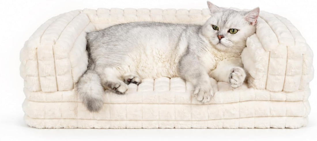 Cat Couch Bed for Indoor Cats,24 x 16.5 x 8 Inches, White