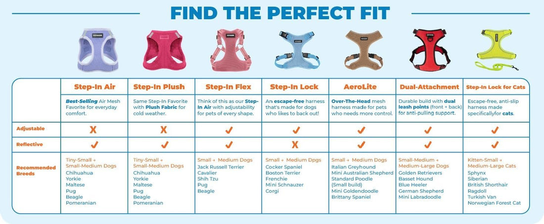 Best Pet Supplies - All Weather Mesh / Plush, Reflective