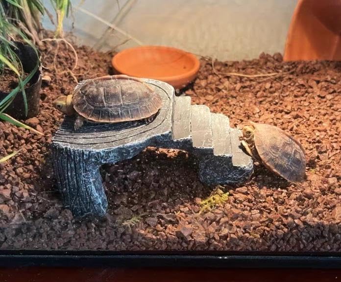 Reptile Basking Rock Tank Ornament Lizard Gecko Turtle Climbing
