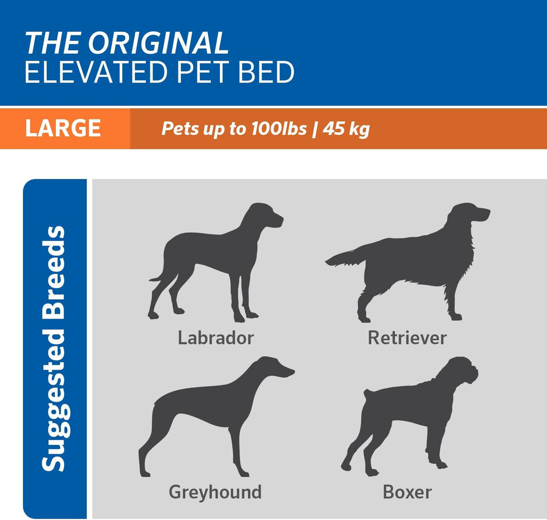 Coolaroo Original Elevated Dog Bed