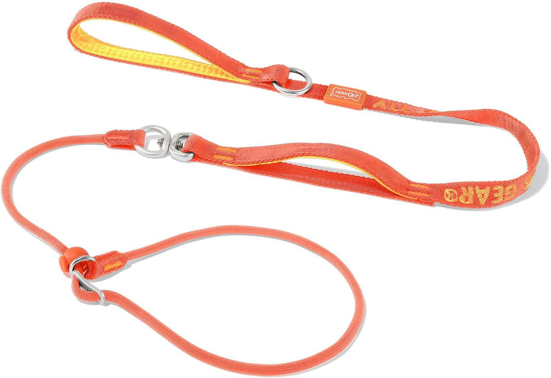 HowGo Slip Lead Dog Leash, 360°Swivel Anti-Tangle