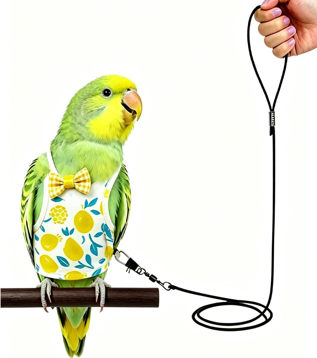 pet Parrot Bird Harness with Leash,pet Bird Clothes