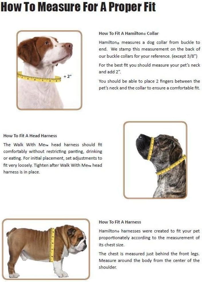 Hamilton Adjustable Nylon Dog Harness, Small 5/8" x 12-20"
