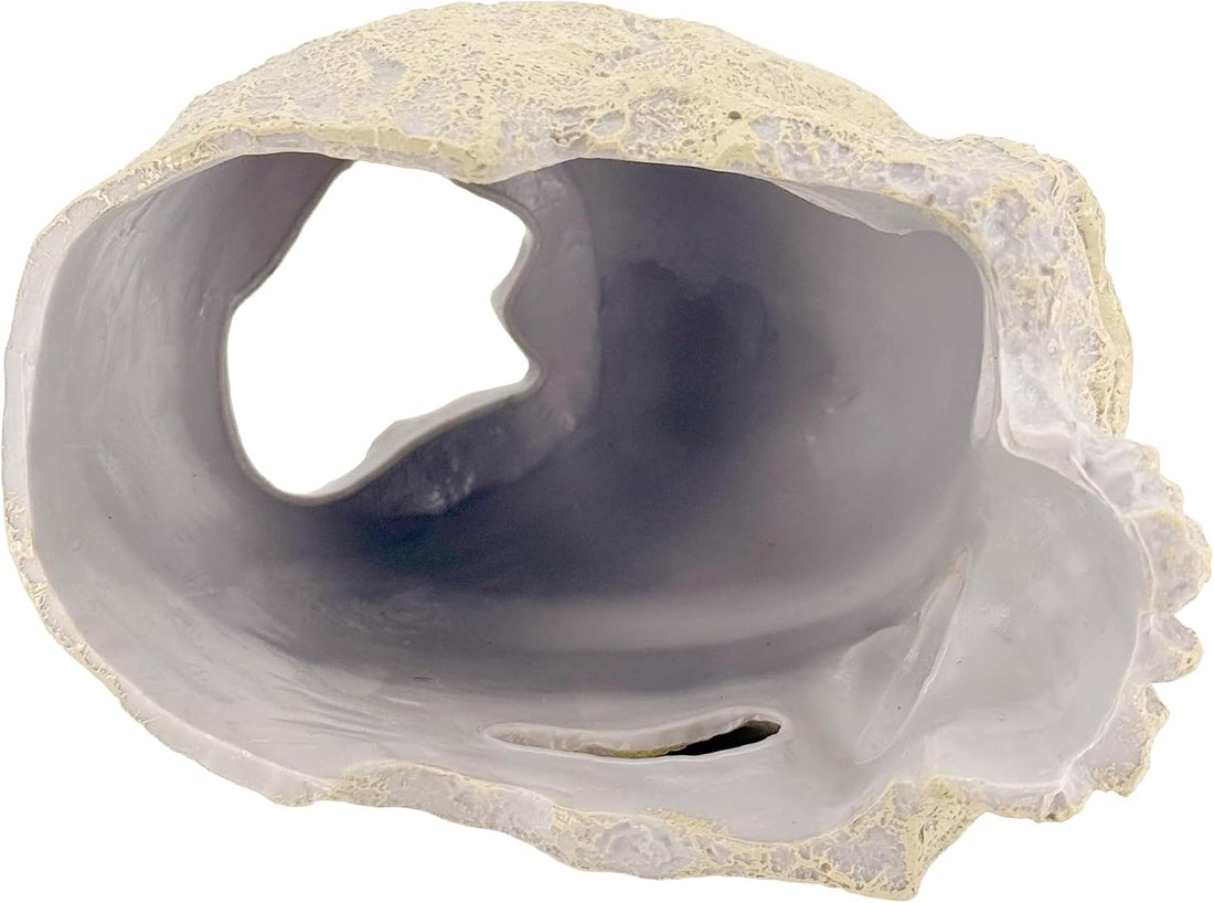CTWPets Aquarium Human Skull Decor for Betta Fish