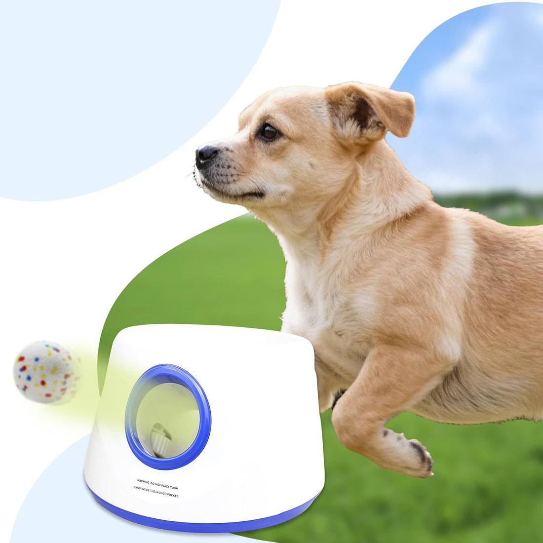 6 Pack Dog Toy Balls, 2.3 Inch ETPU Material