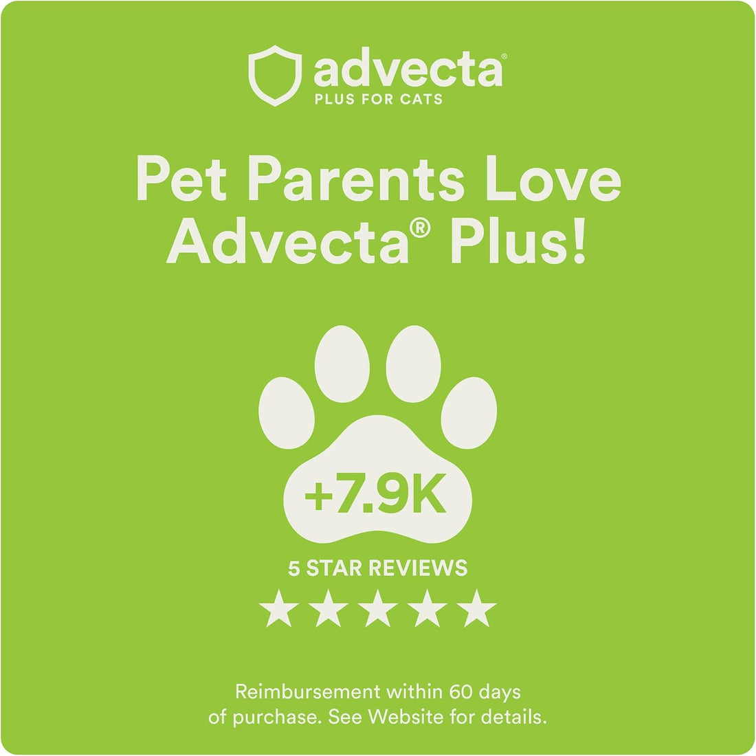 Advecta Plus Cat Flea Treatment 5-9 lbs, Imidacloprid, 4-Month