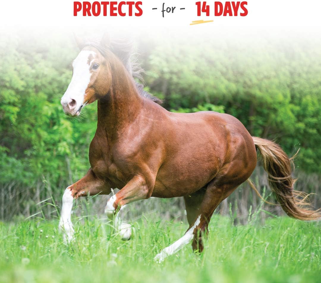 Manna Pro Pro-Force Horse Fly Spray, Ready-to-Use Formula, 32 oz