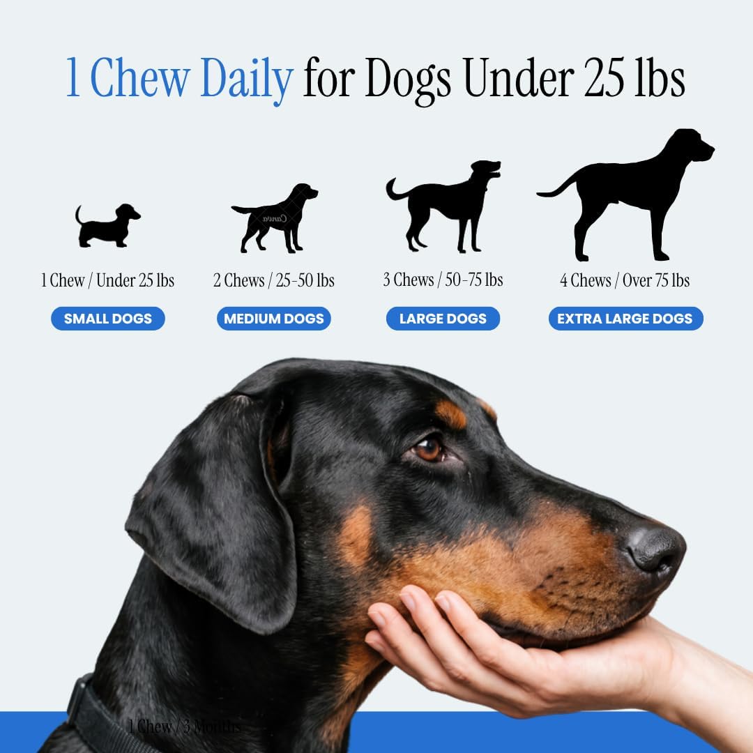 Multivitamin Daily Soft Chew Dog Supplement with Glucosamine