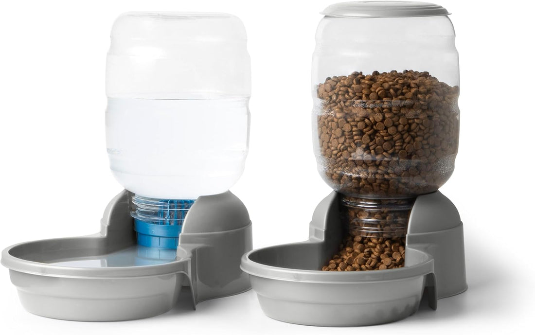 Petmate Replendish Automatic Dog Water Dispenser, 4 Gal, 2 Filters