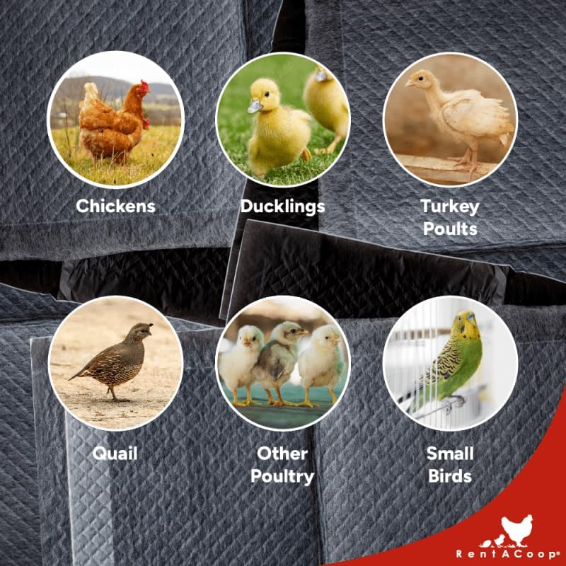 RentACoop Hatchling Liners for Big Red Barn- Pack of 12