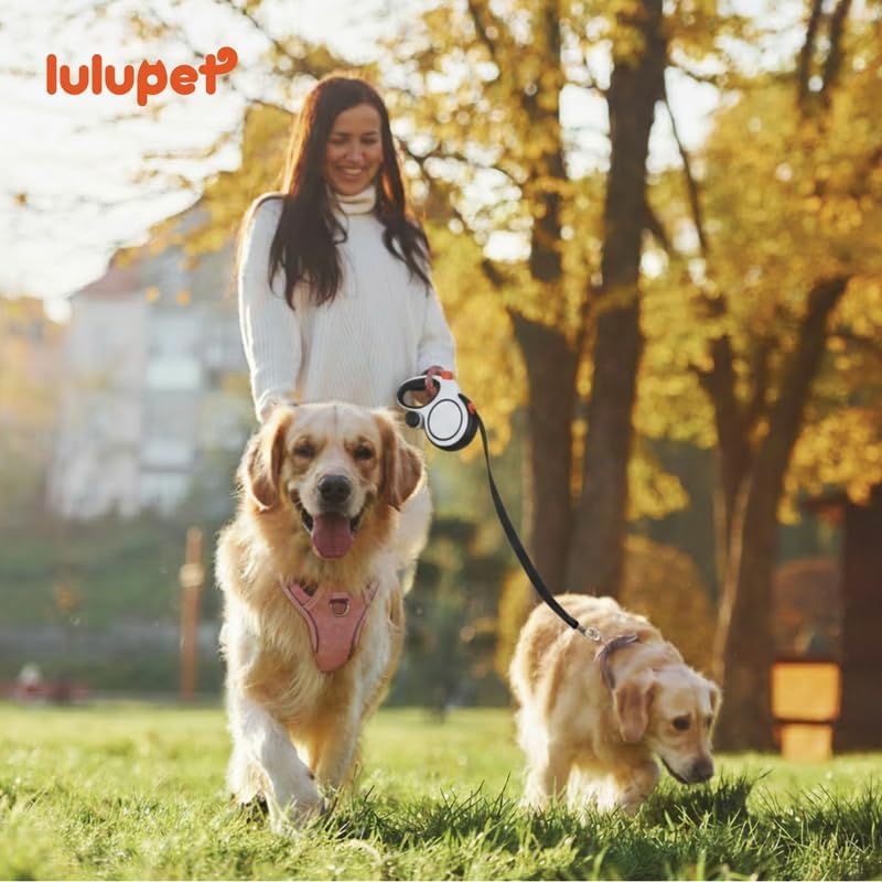 Dog Harness and Leash Set with Collar