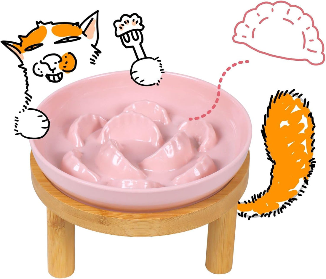 Unbreakable Slow Feeder Bowl for Cats and Small Dogs- Cat Plates