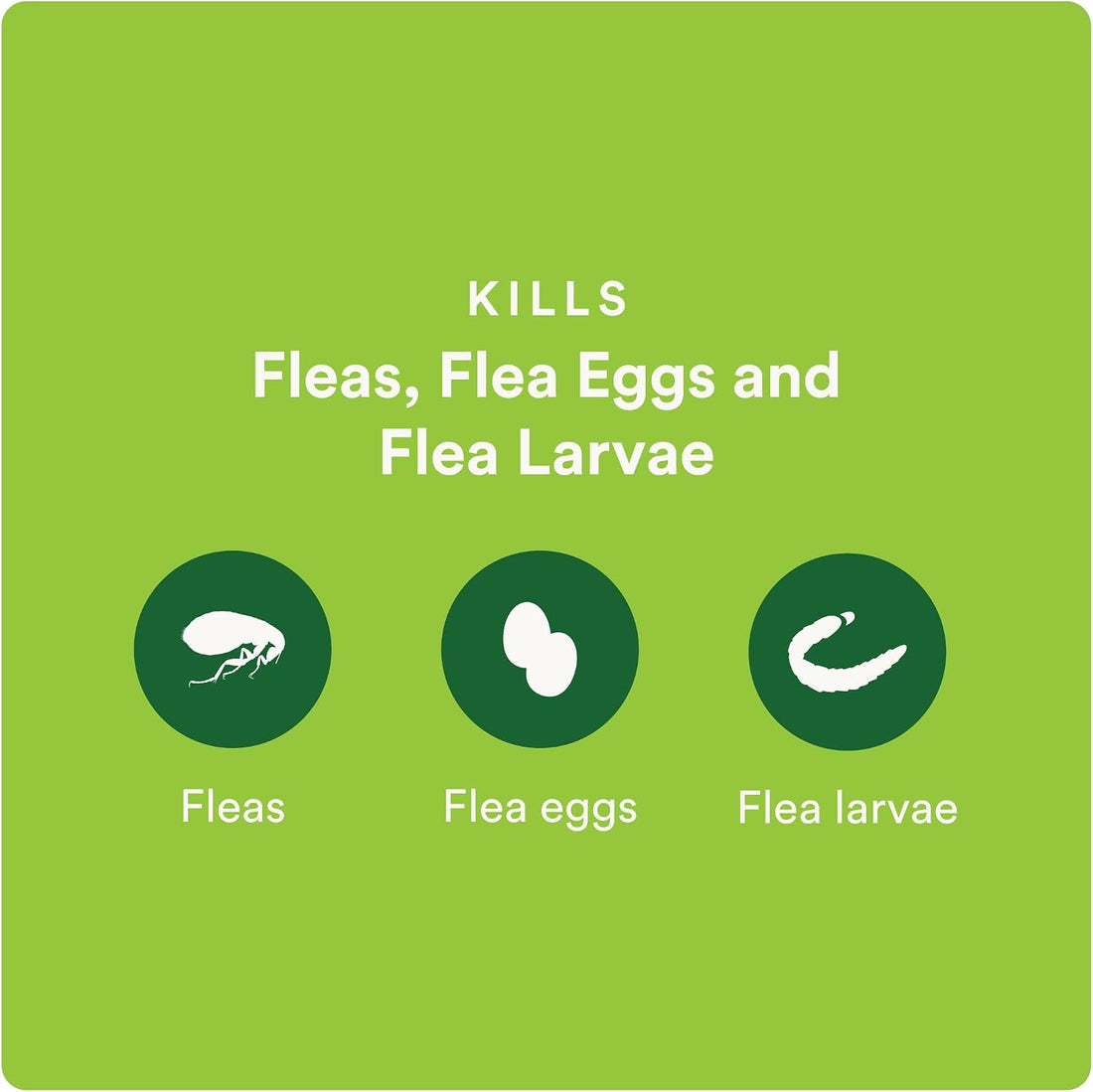 Advecta Plus Topical Large Cat Flea Treatment for Cats and Kittens