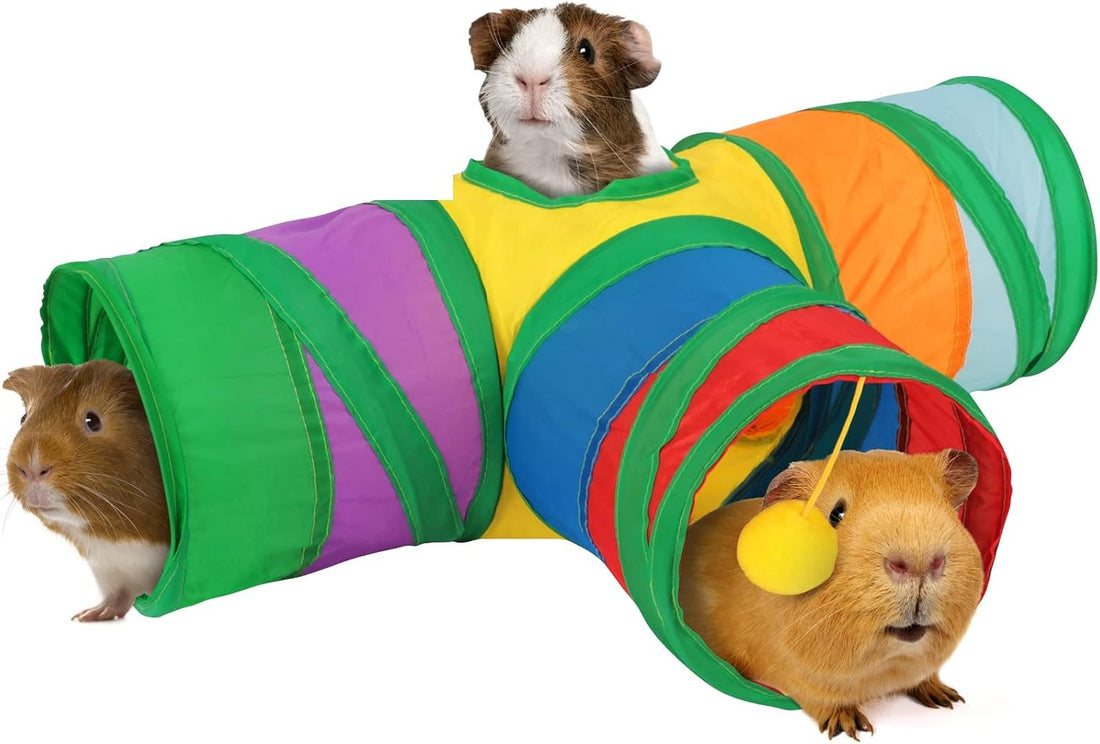 Rypet Guinea Pig Tunnel Hideout 3-Way Collapsible Small Pet Tubes