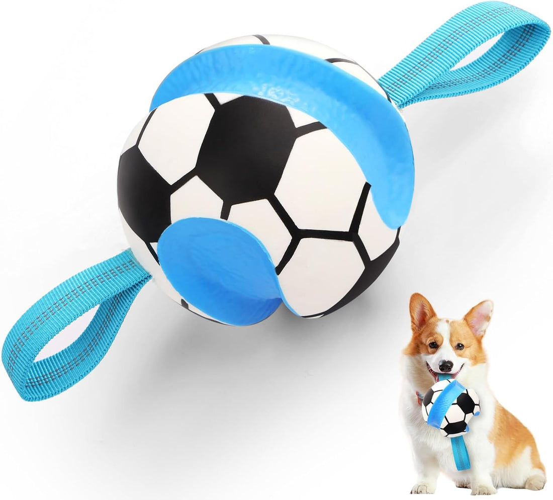 5 Pack No Stuffing Squeaky Dog Toys for Large Dogs