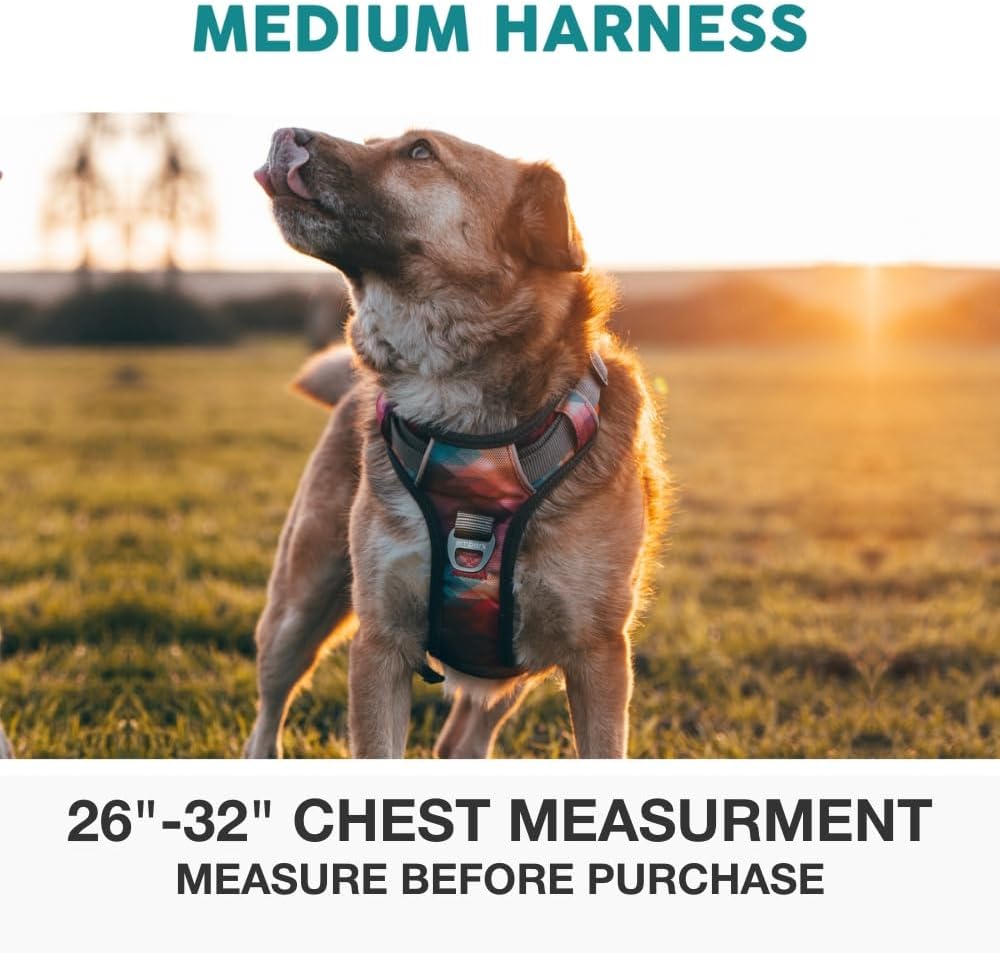 Embark Adventure No Pull Dog Harness