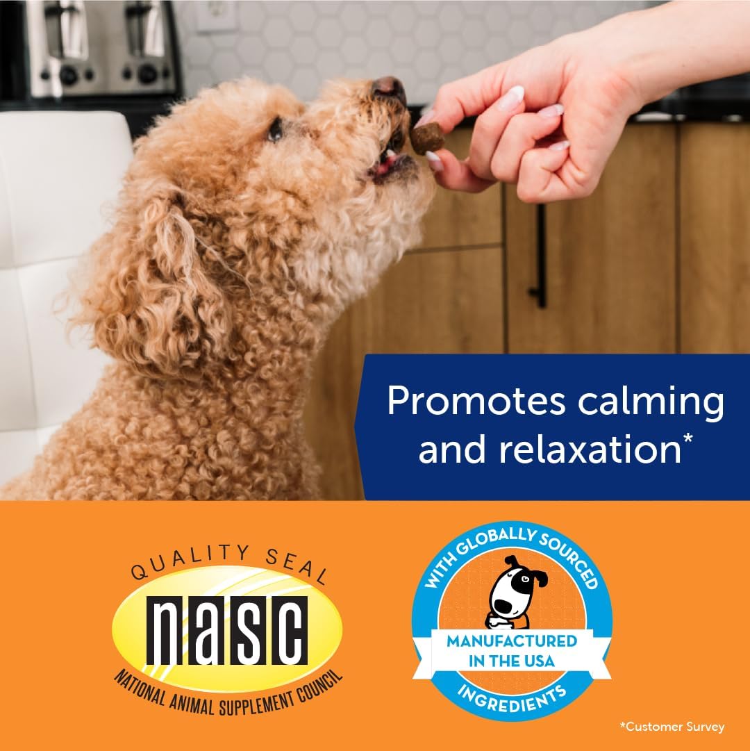 ThunderBites Hemp Calming Chews For Dogs, 60 Count