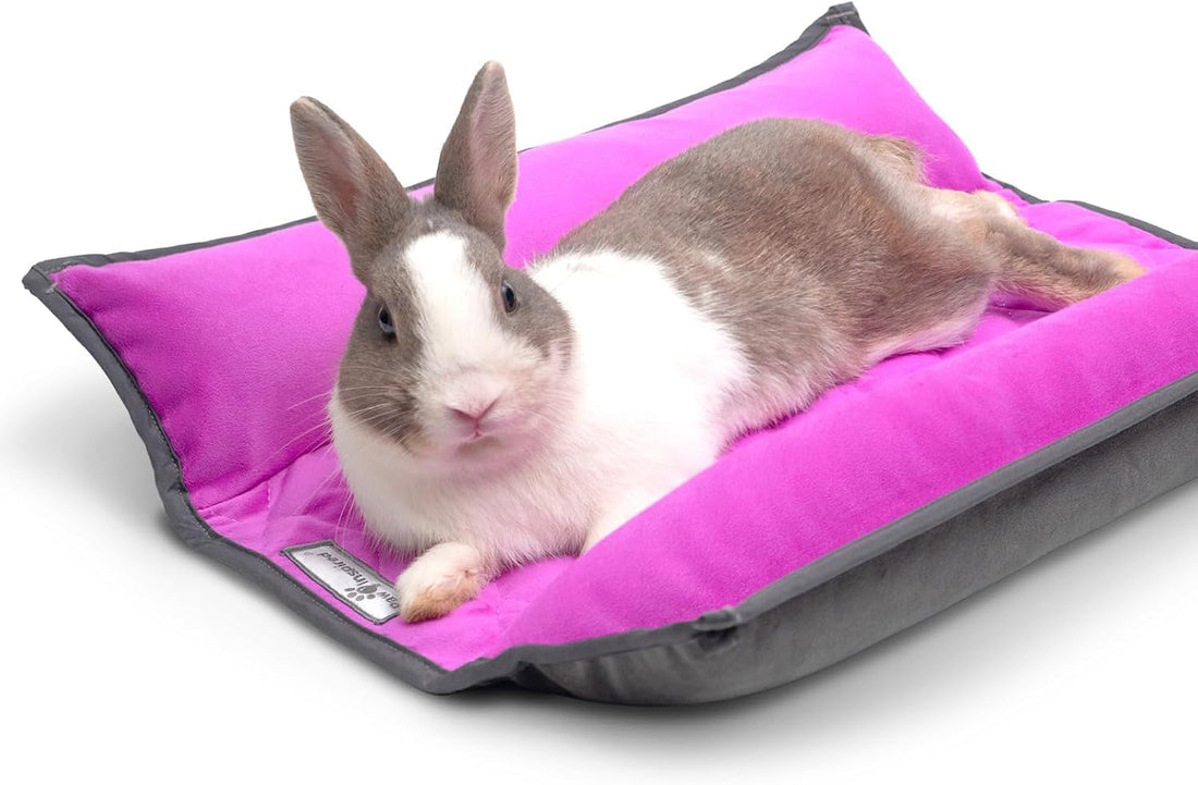 Paw Inspired Snuggle Bunny Bolster Bed, Gray/Beige, 17x17 Inch