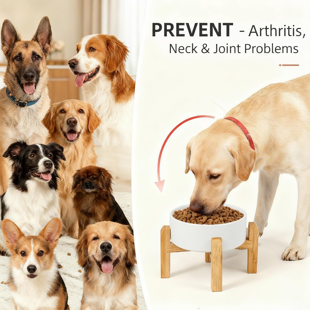 Elevated/Raised Ceramic Dog Bowl with Bamboo Stand,6 Inch 3.6 Cups
