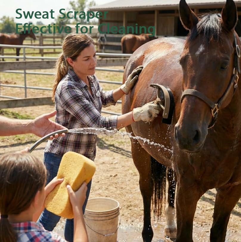 Horse Grooming Kit 13 Piece, Horse Brushes for Grooming Supplies Set