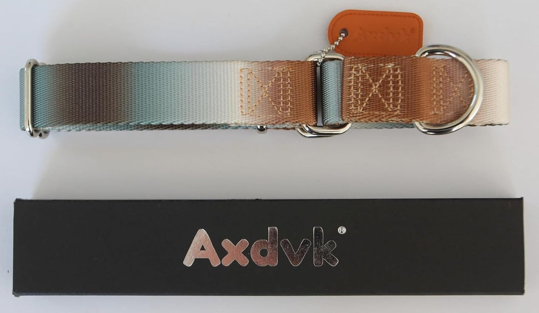 Martingale Dog Collar Colorful Gradient Fashionable
