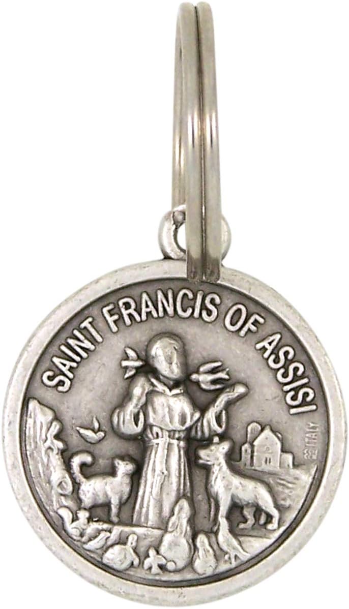 Needzo Silver Tone Base Metal Catholic Saint Francis of Assisi Patron