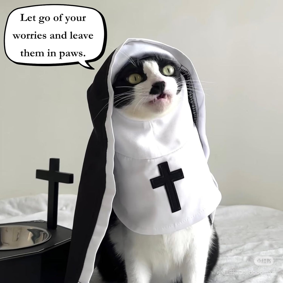 Cat/Dog Nun Costume Pet Clothing, Habit Outfit Halloween