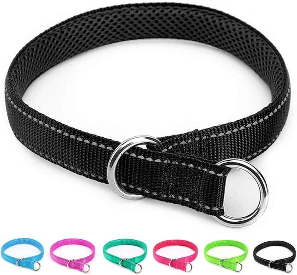 Reflective Slip Dog Collar Lightweight Loop Dog Collar 44-75lb Dogs