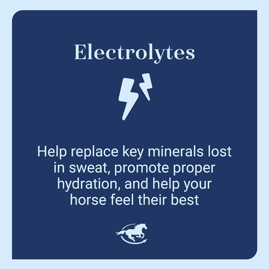 SmartEquine SmartLytes Paste Horse Electrolyte Paste, Pack of 6 Tubes