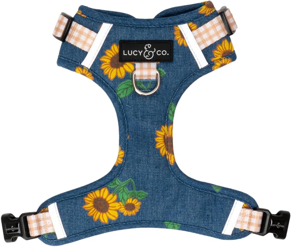 Lucy & Co. Appley Ever After Corduroy No-Pull Dog Harness, XL