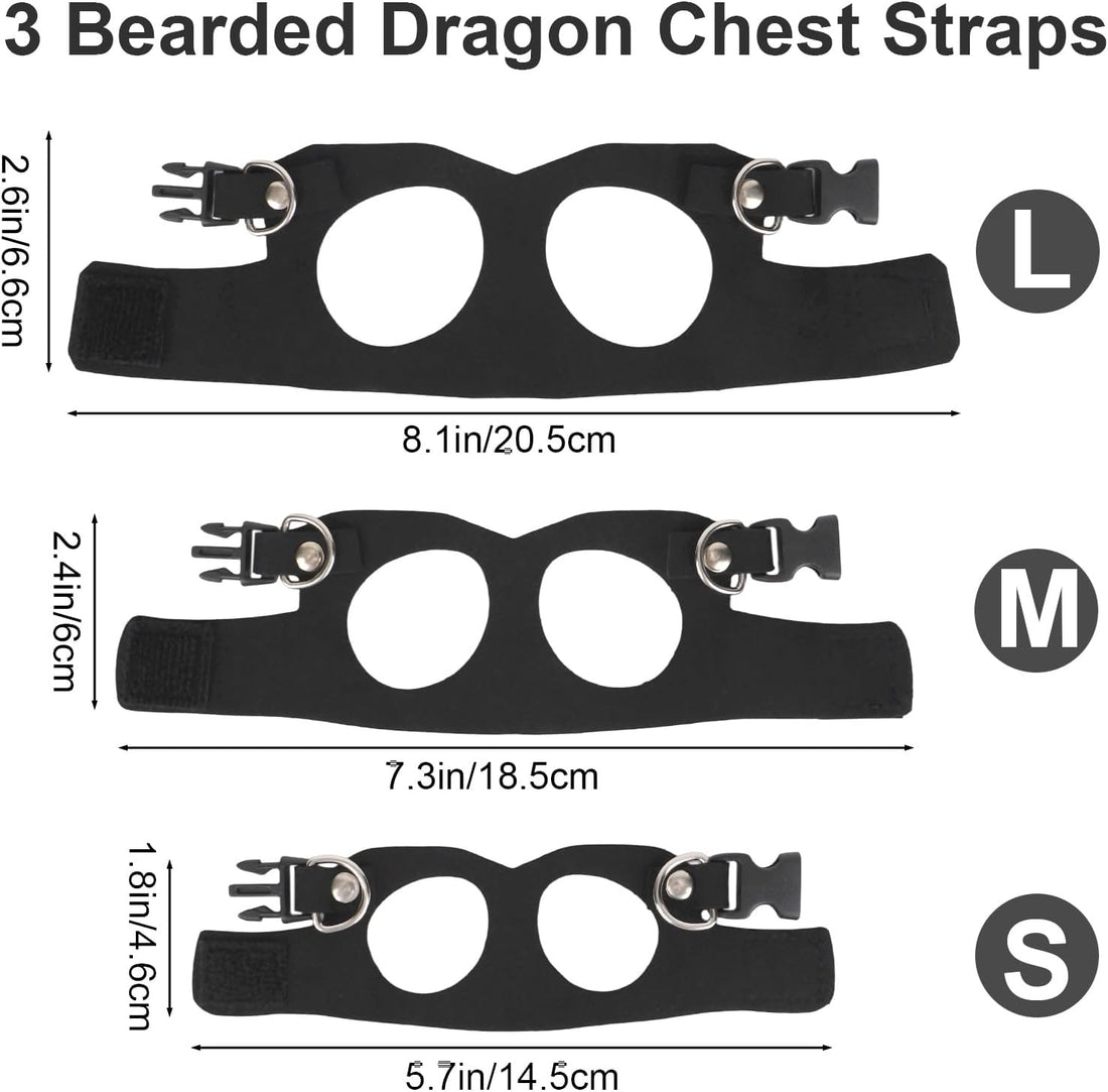 Bearded Dragon Leash and Harness Set