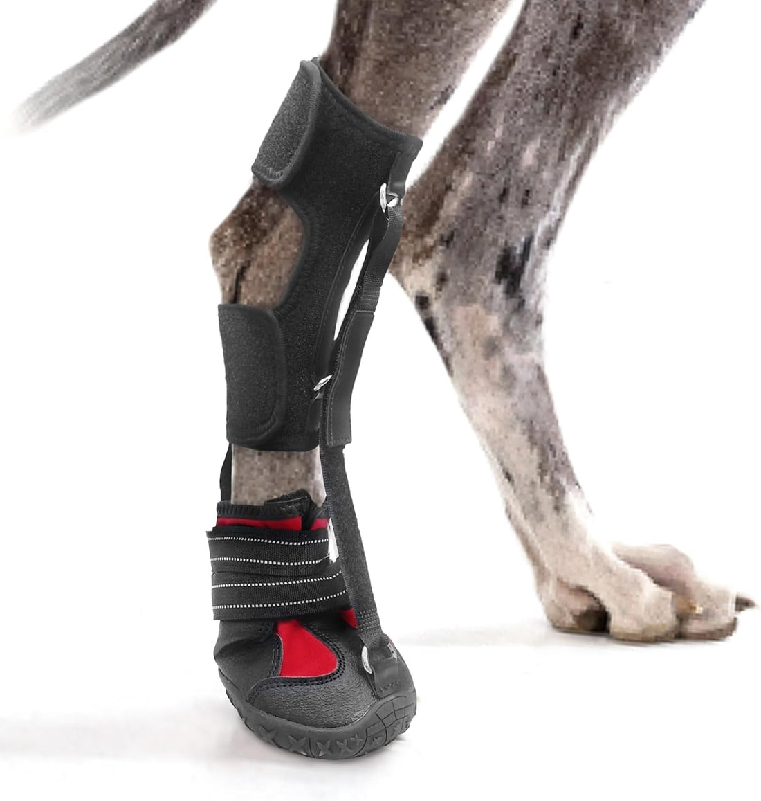 Strap-On Drop Foot Brace (No Knuckling Boot Brace) for Dogs, M