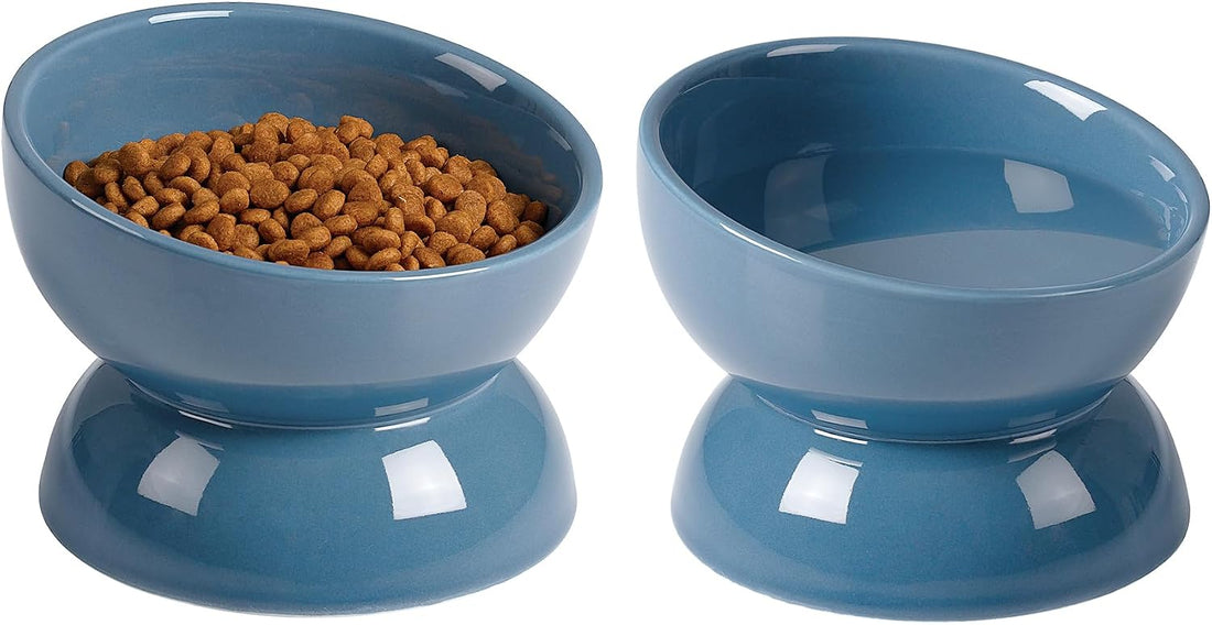 ABRUTY Cat Water Bowl, 16 OZ Ceramic Elevated Cat Bowls