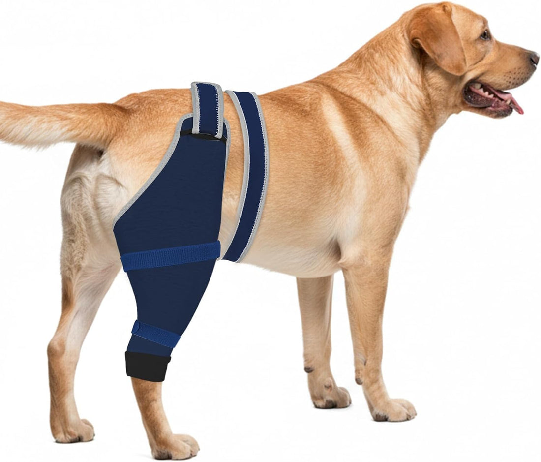 Dog Rear Leg Sleeve to Stop Licking