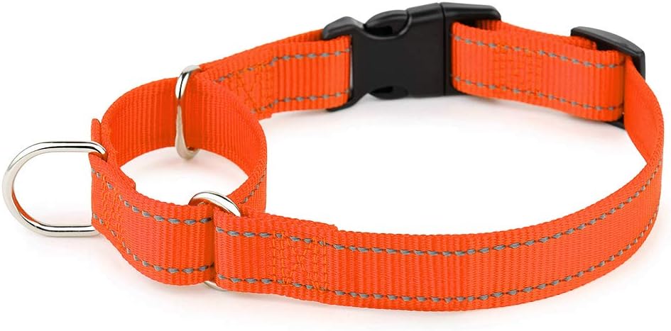 PLUTUS PET Reflective Martingale Collar with Quick Snap Buckle,No