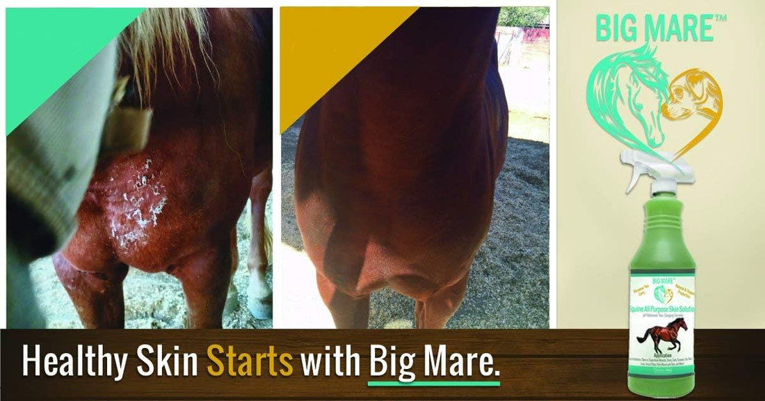 Big Mare Horse Skin & Wound Care Spray, 32 oz