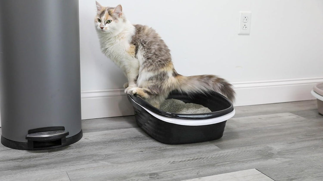 Arm & Hammer Large Sifting Litter Box Scoop Free Cat Litter Tray