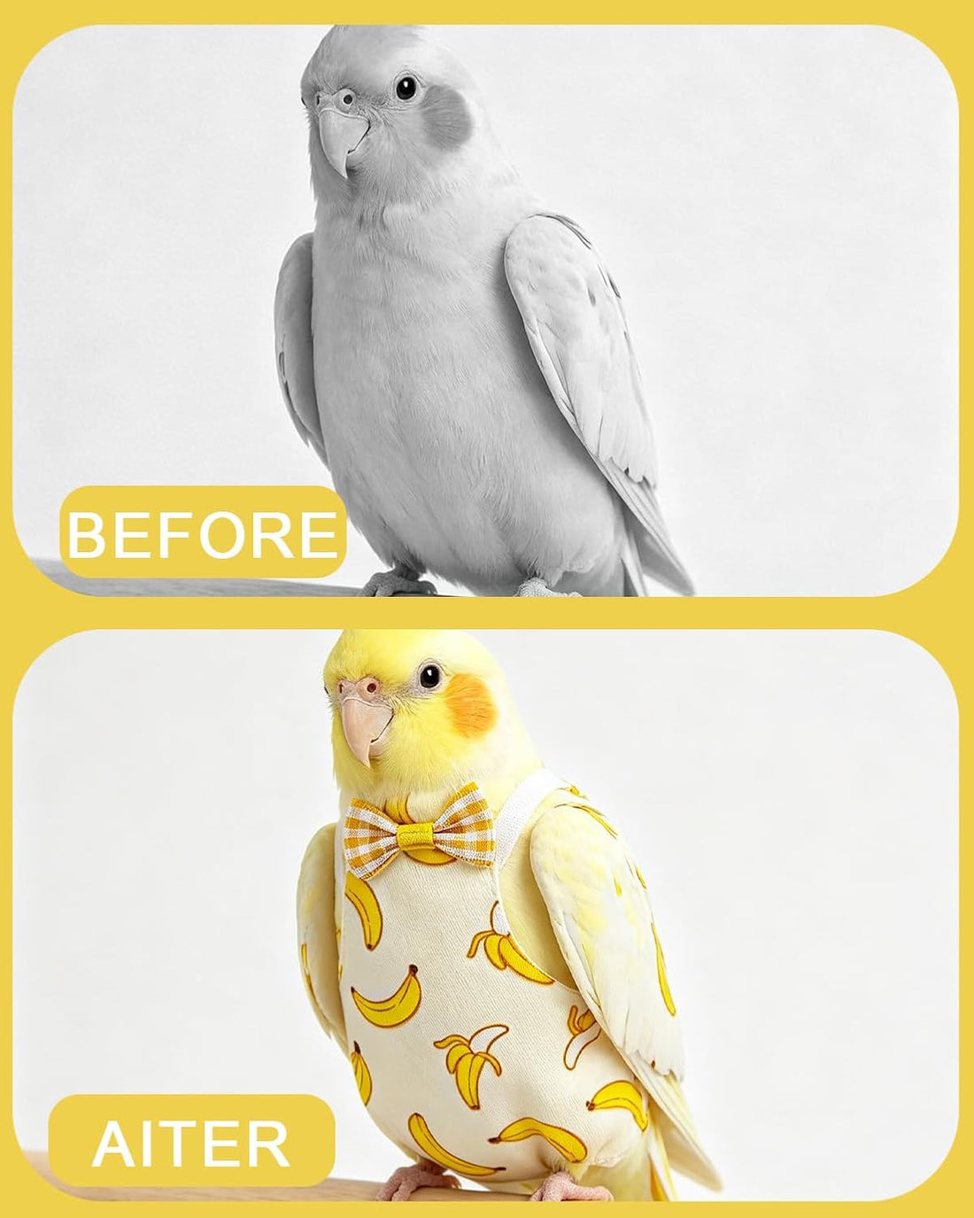 3Pack Bird Diaper, Reusable Parrot Nappy & 50 Absorbent Liners Bird