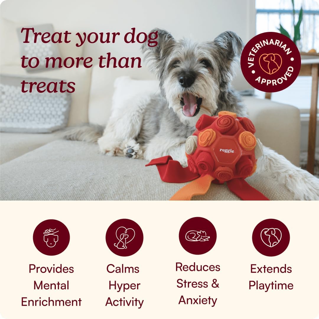 Reggie Snuffle Ball for Dogs